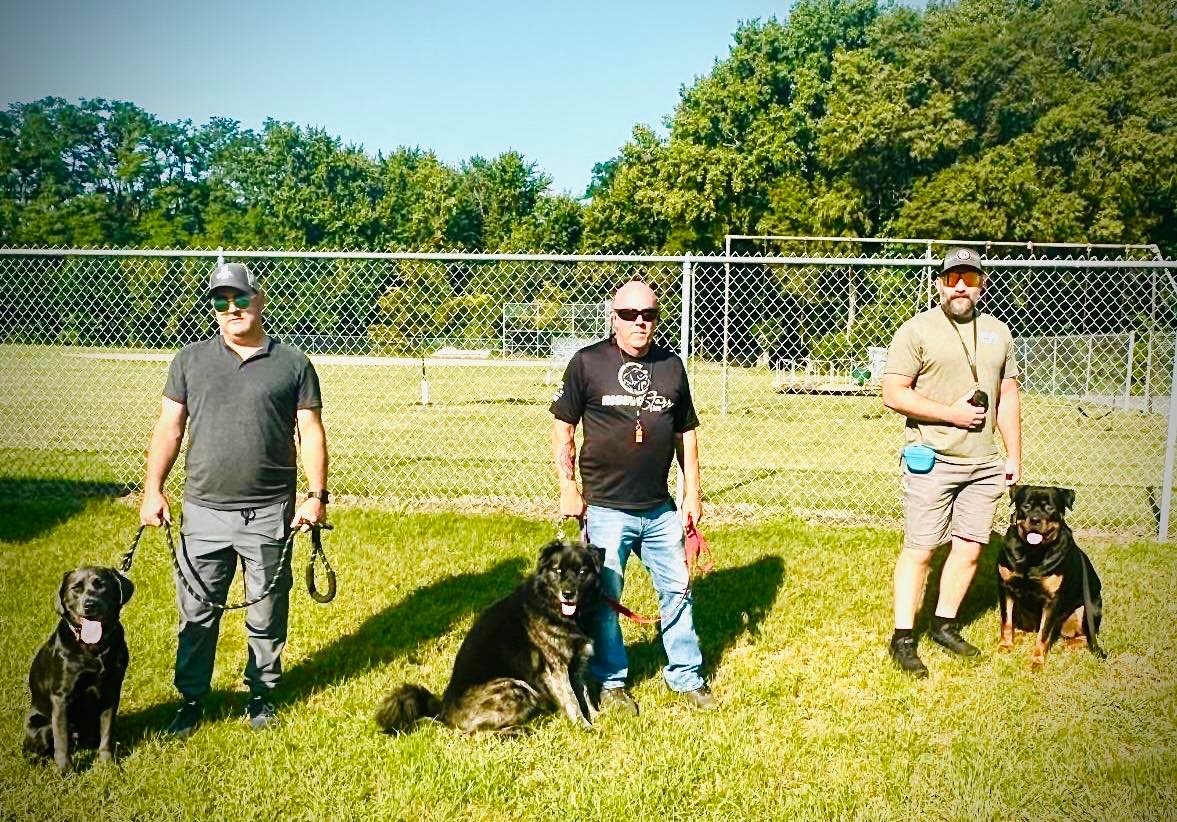 Being a Good Pet Owner: A Commitment to Responsibility and Respect ...